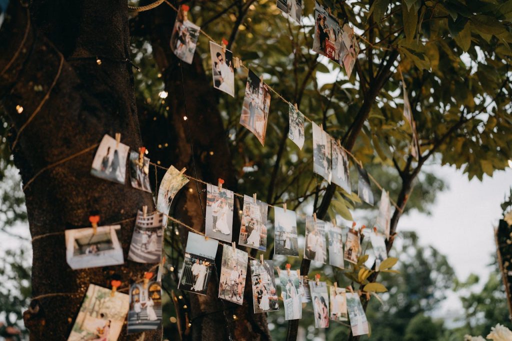 pictures-hanging-on-strings-attached-to-trees-in-a-garden-15928649 Outdoor display of photographs hanging from strings on a tree in a garden setting.